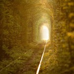 Tunnel de l'amour 