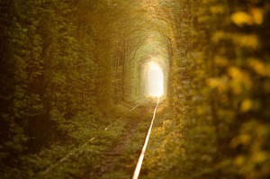 Tunnel de l'amour : du romantisme à l’état brut