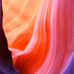 Canyon Antelope