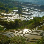 Yuanyang 