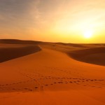 Le Sahara 