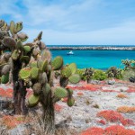 Îles Galapagos