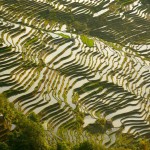 Yuanyang 