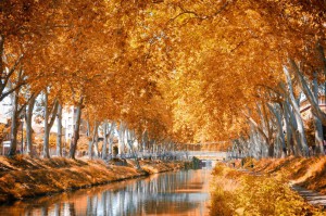 Canal du midi : L’ouvrage de tout un siècle, entre Colbert et Vauban