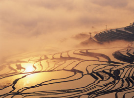 Yuanyang : les rizières arc-en-ciel