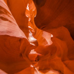 Canyon Antelope