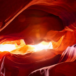 Canyon Antelope