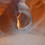 Canyon Antelope