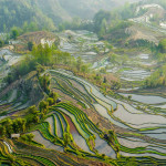 Yuanyang 