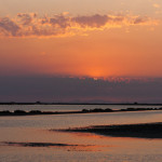 La Camargue 