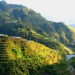 Rizières de Banaue 