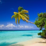 Îles Maldives 