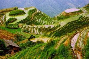 Ping'an : Des rizières en terrasse enchanteresses