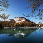 Potala Palace 