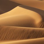 Le Sahara 