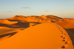Le Sahara : La perle désertique de l’Afrique