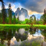 Parc de Yosemite