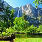 Parc de Yosemite