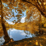 Le Connemara 