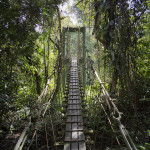 Parc National de Gunung Mulu 