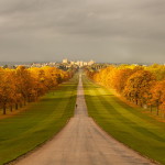 Windsor 