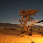Le chemin des dunes 