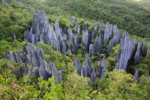 Parc National de Gunung Mulu : la nature qui vous fait perdre la tête !