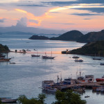 L'île de Komodo 