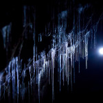 Grotte Waitomo