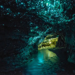 Grotte Waitomo