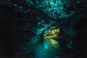Grotte Waitomo: Lieu de féerie et d’enchantement