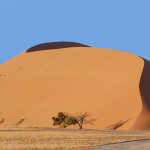 Le chemin des dunes 
