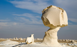 Le désert blanc : une couche de neige sur un désert aride !