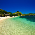 L'île de Komodo 