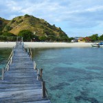 L'île de Komodo 