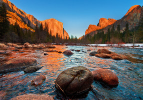 Parc de Yosemite: sur les terres du séquoïa géant