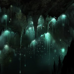 Grotte Waitomo