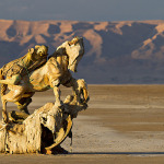Chott el Djerid 
