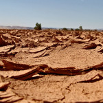Le Désert de Gobi 