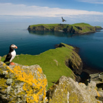 Staffa et sa grotte de Fingal 