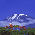 Kilimandjaro 