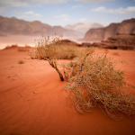 Le désert de Wadi Rum 