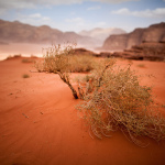 Le désert de Wadi Rum 