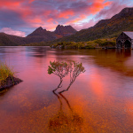 Tasmanie 