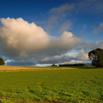 Tasmanie 