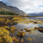 Les Highlands 