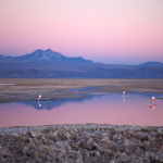 Désert d'Atacama 