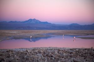 Désert d'Atacama : Le désert des astres