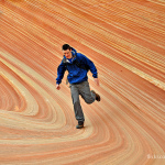 The Wave 