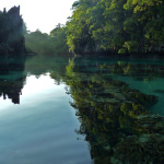 L’île de Miniloc 